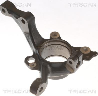 Triscan 8500 29717 - Поворотный кулак, подвеска колеса parts5.com