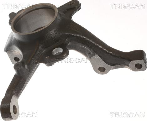 Triscan 8500 29717 - Поворотный кулак, подвеска колеса parts5.com