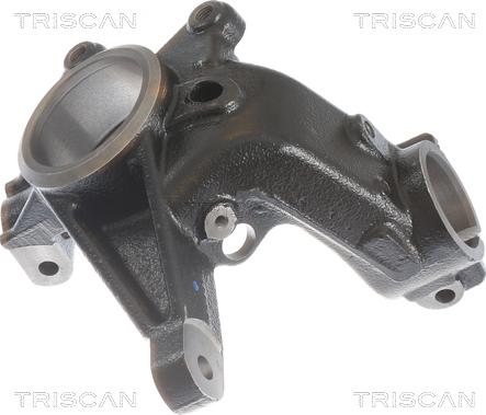 Triscan 8500 28702 - Поворотный кулак, подвеска колеса parts5.com