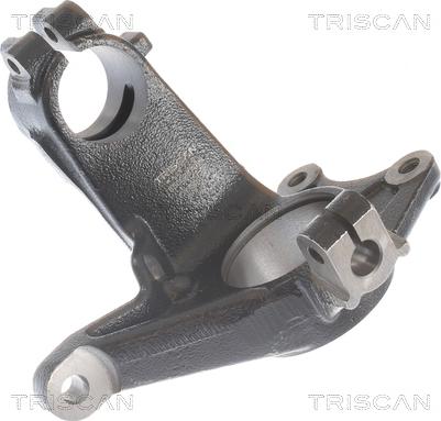 Triscan 8500 28702 - Поворотный кулак, подвеска колеса parts5.com