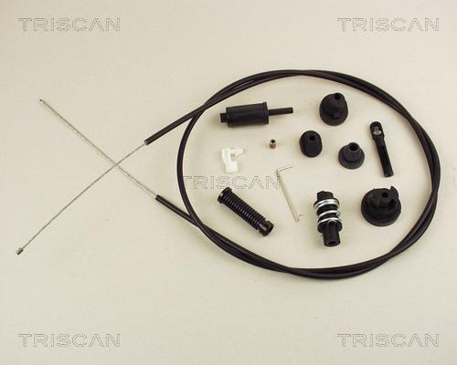 Triscan 8140 10306 - Тросик газа parts5.com