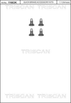 Triscan 8105 116004 - Комплект болтов, тормозной диск parts5.com