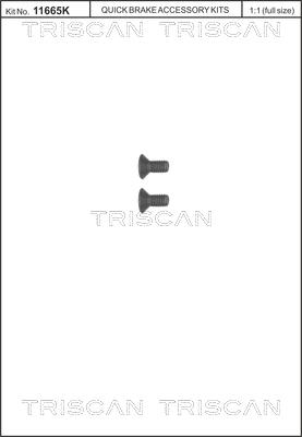 Triscan 8105 116006 - Комплект болтов, тормозной диск parts5.com