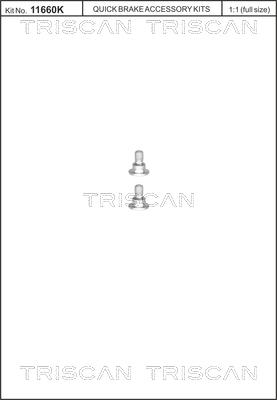 Triscan 8105 116001 - Комплект болтов, тормозной диск parts5.com