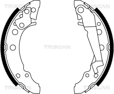 Triscan 8100 29001 - Комплект тормозных колодок, барабанные parts5.com