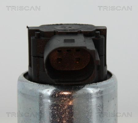 Triscan 8813 15052 - Клапан возврата ОГ parts5.com