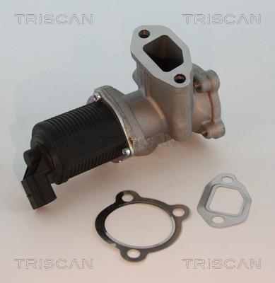 Triscan 8813 10003 - Клапан возврата ОГ parts5.com