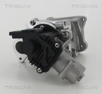 Triscan 8813 10007 - Клапан возврата ОГ parts5.com