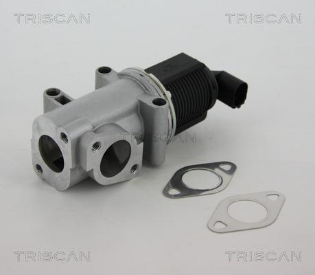 Triscan 8813 10015 - Клапан возврата ОГ parts5.com