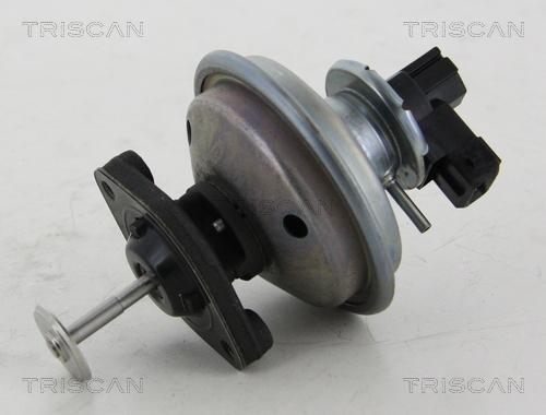 Triscan 8813 11002 - Клапан возврата ОГ parts5.com