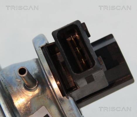 Triscan 8813 11002 - Клапан возврата ОГ parts5.com