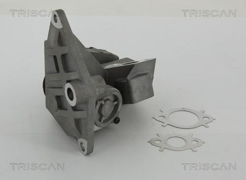 Triscan 8813 29047 - Клапан возврата ОГ parts5.com