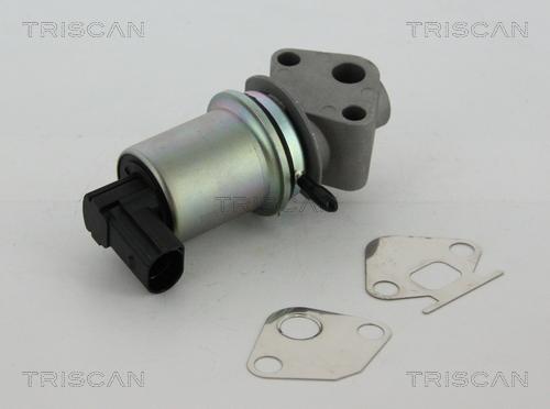 Triscan 8813 29004 - Клапан возврата ОГ parts5.com