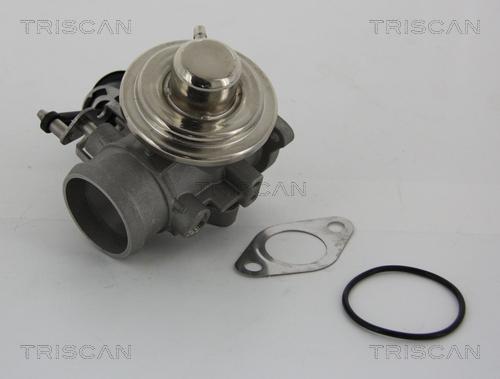 Triscan 8813 29001 - Клапан возврата ОГ parts5.com