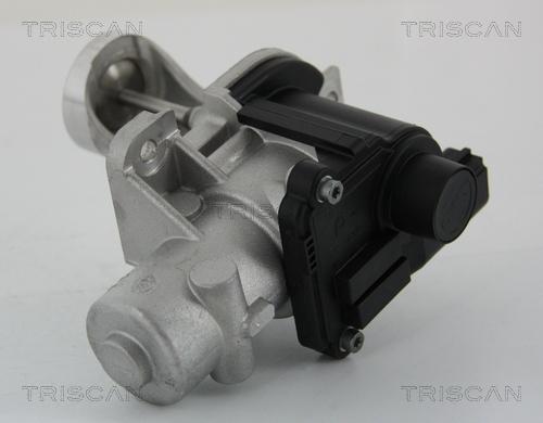 Triscan 8813 29101 - Клапан возврата ОГ parts5.com