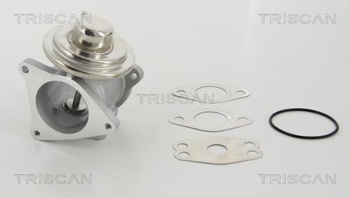 Triscan 8813 29111 - Клапан возврата ОГ parts5.com