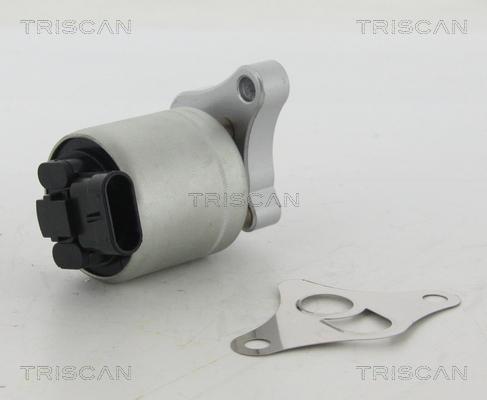 Triscan 8813 24002 - Клапан возврата ОГ parts5.com