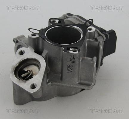 Triscan 8813 24039 - Клапан возврата ОГ parts5.com