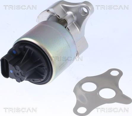 Triscan 8813 21001 - Клапан возврата ОГ parts5.com