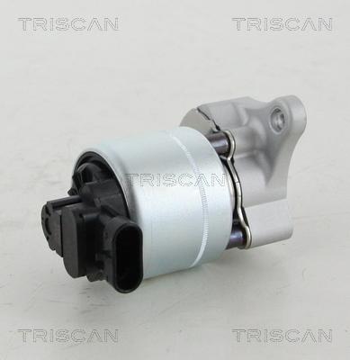 Triscan 8813 28008 - Клапан возврата ОГ parts5.com