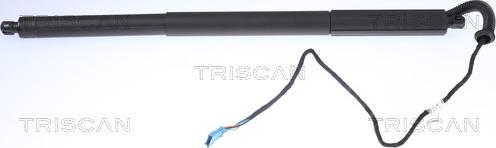 Triscan 8710 11306 - Газовая пружина, упор parts5.com