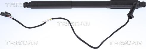 Triscan 8710 11303 - Газовая пружина, упор parts5.com