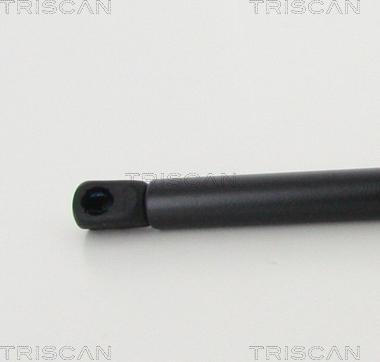 Triscan 8710 292049 - Газовая пружина, упор parts5.com