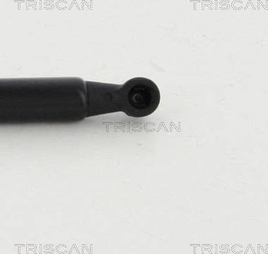 Triscan 8710 292019 - Газовая пружина, упор parts5.com