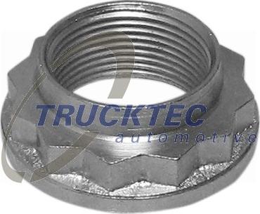 Trucktec Automotive 08.32.053 - Гайка оси, приводной вал parts5.com