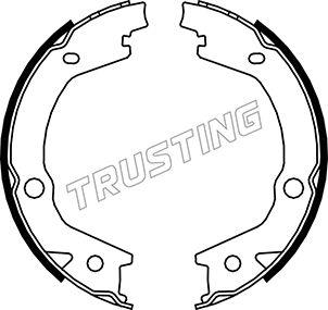 Trusting 046.220 - Комплект тормозов, ручник, парковка parts5.com