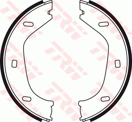 TRW GS8219 - Комплект тормозов, ручник, парковка parts5.com