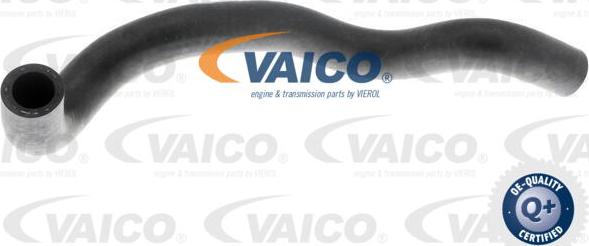 VAICO V10-4653 - Шланг радиатора parts5.com