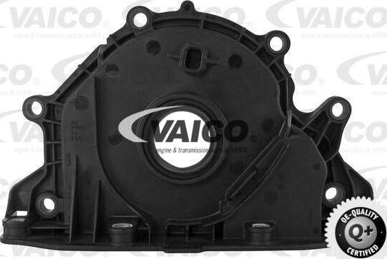 VAICO V10-3682 - Уплотняющее кольцо, коленчатый вал parts5.com