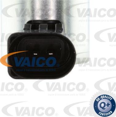 VAICO V10-3731 - Регулирующий клапан, выставление распределительного вала parts5.com