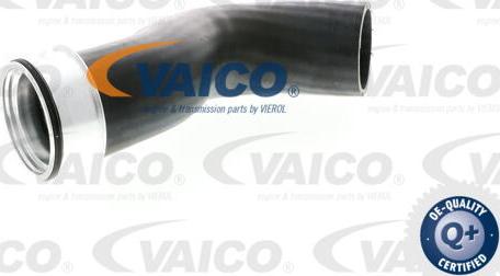VAICO V10-2833 - Трубка, нагнетание воздуха parts5.com
