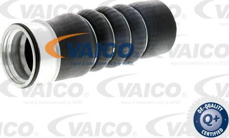 VAICO V10-2872 - Трубка, нагнетание воздуха parts5.com