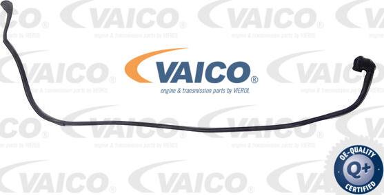 VAICO V20-4352 - Шланг радиатора parts5.com