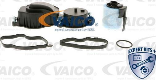 VAICO V20-0954 - Клапан, отвода воздуха из картера parts5.com