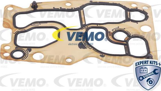 Vemo V20-60-1567 - Масляный радиатор, автоматическая коробка передач parts5.com