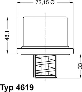 WAHLER 4619.82 - Термостат, охлаждающая жидкость parts5.com