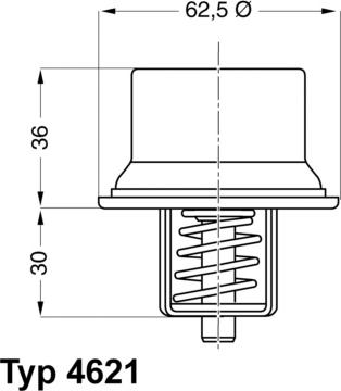 WAHLER 4621.80D - Термостат, охлаждающая жидкость parts5.com