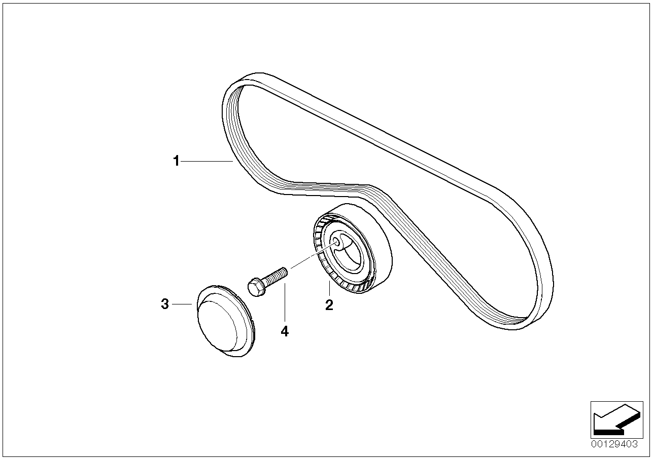 Mini 64 55 1 727 378 - Поликлиновой ремень parts5.com