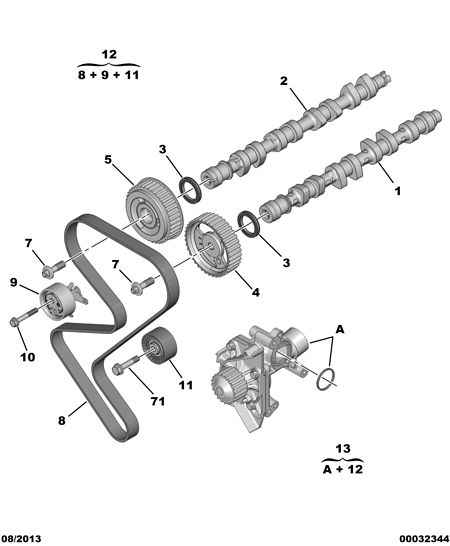 DS 0816 F4 - Зубчатый ремень ГРМ parts5.com