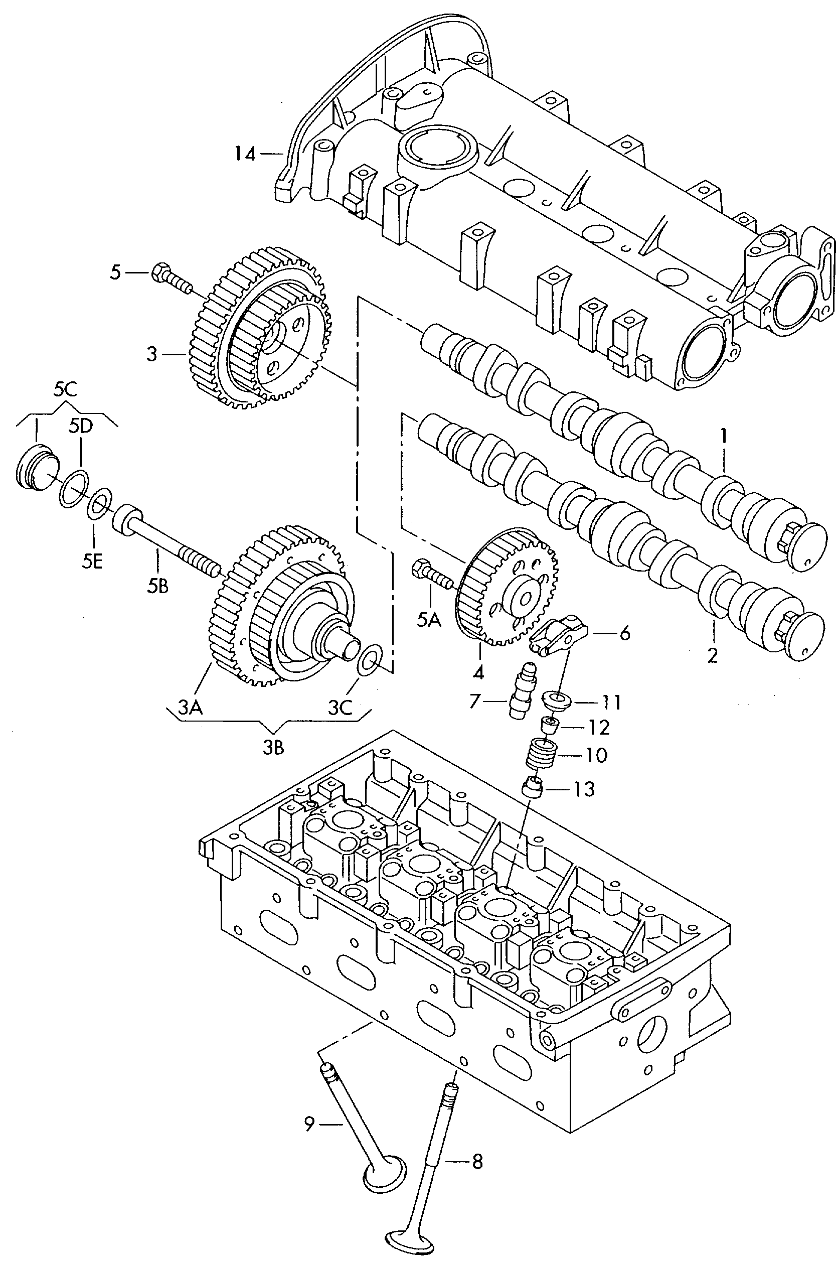 AUDI 036 109 101 DG - Распредвал parts5.com