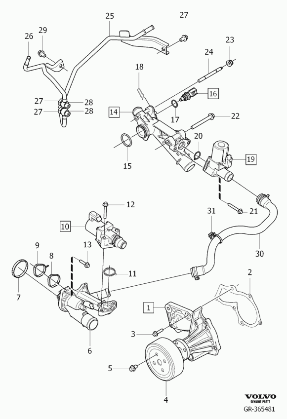 Volvo 31 216 202 - Gasket, water pump parts5.com